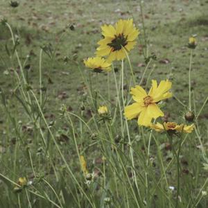 《裸体肉欲》无删减
